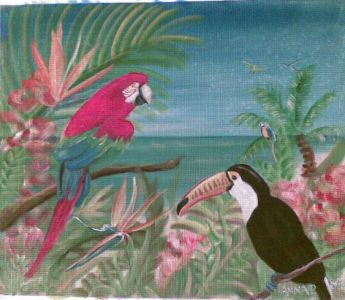 Toucan & Macaw